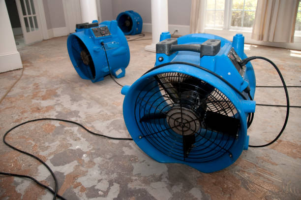 Water damage restoration process in MO