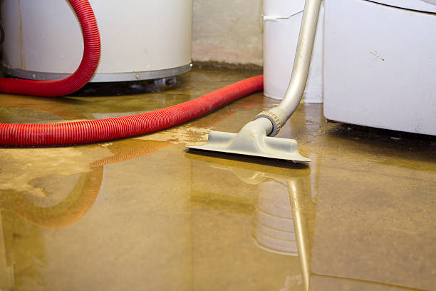 Best Basement water damage restoration  in Potosi, MO